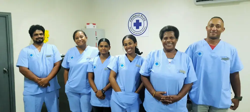 Animals Plus | Animals Plus Team