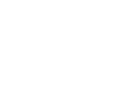 Animals Plus | General Consultations 1