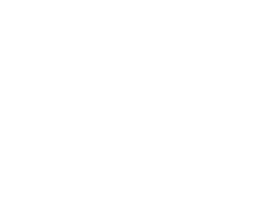 Animals Plus | Surgical Care